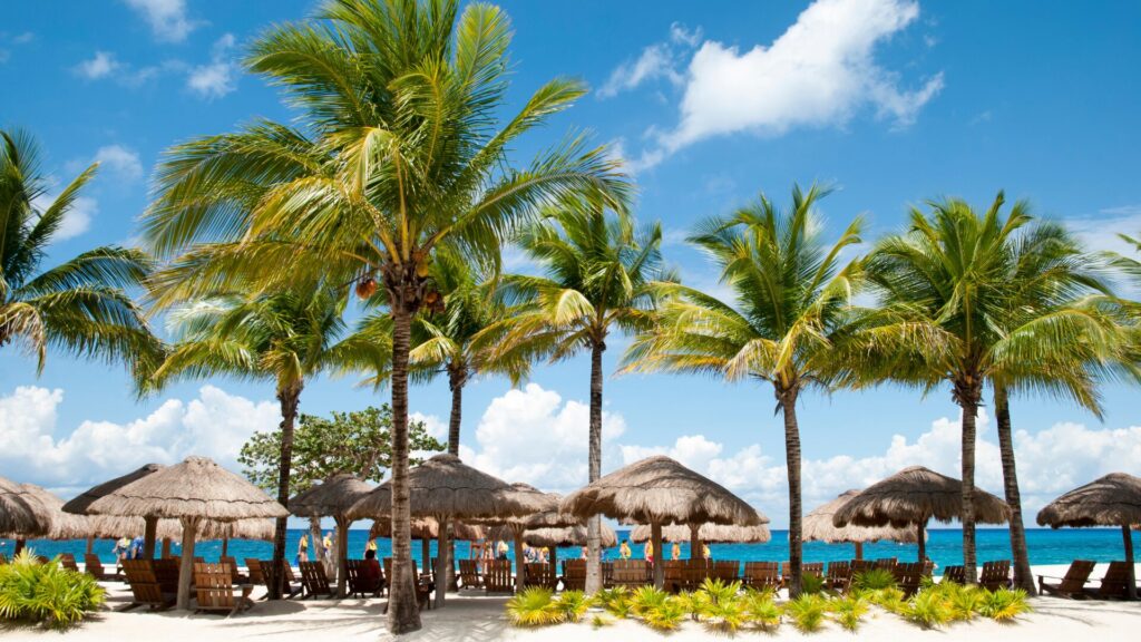Cozumel Island Beach With Umbrellas