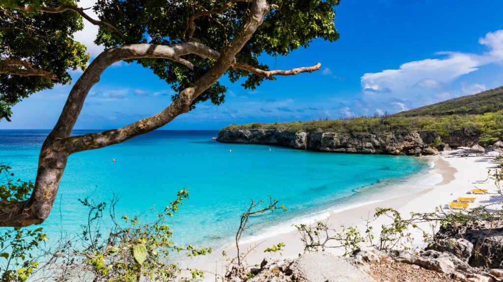 Grote Knip Beach Curacao