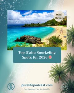 Best Snorkeling Spots in Oahu for Families 2026
