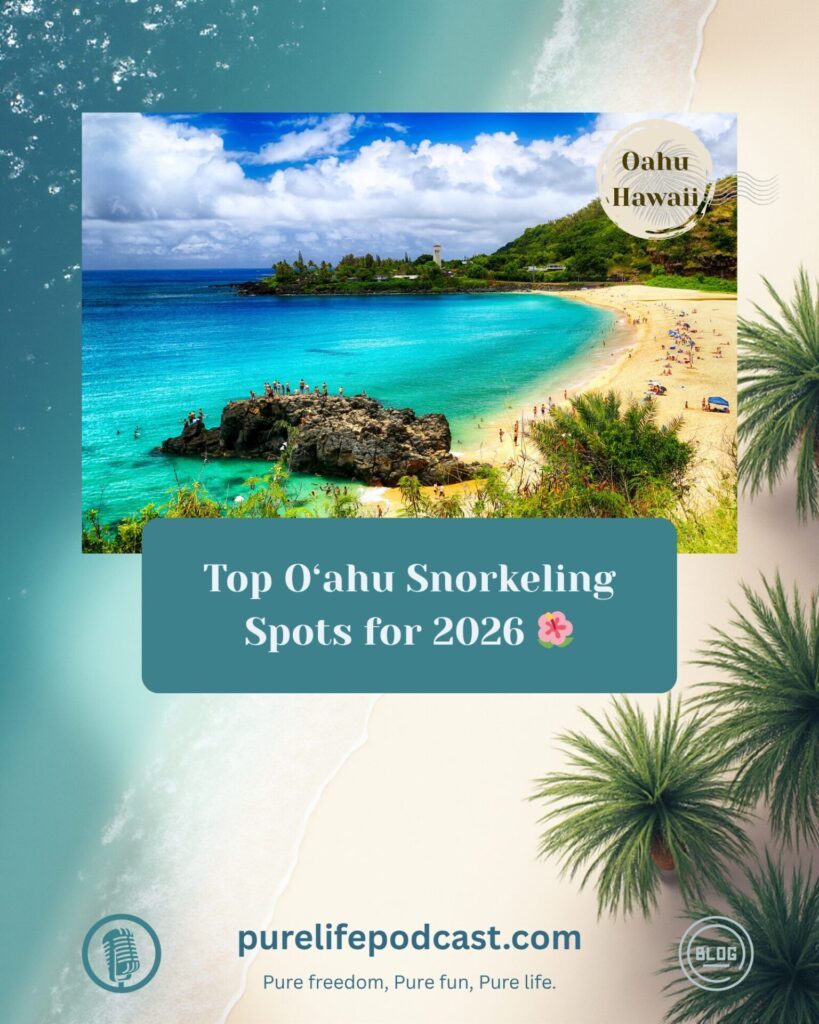 Best Snorkeling Spots in Oahu for Families 2026