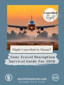 What to Do When Your Flight Gets Canceled