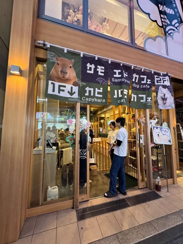 Capybara Cafe Harajuku