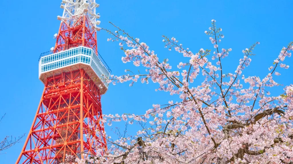 RED Tokyo Tower