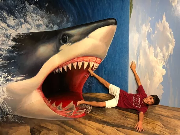 Tokyo Trick Art exhibit 2