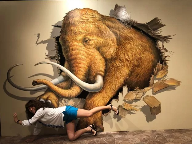 Tokyo Trick Art exhibit 3