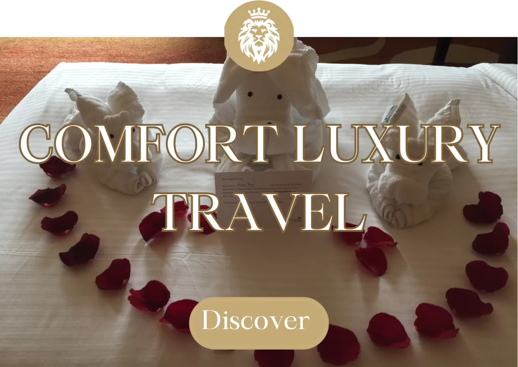 Comfort Luxury Travel Pillar Image