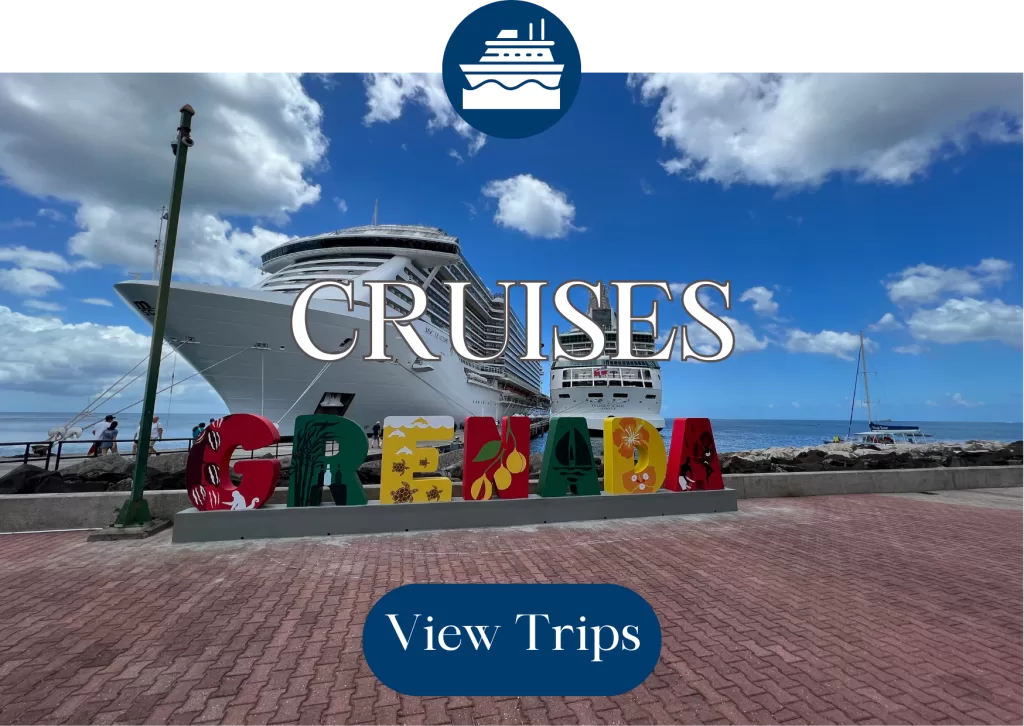 Cruises Pillar Image