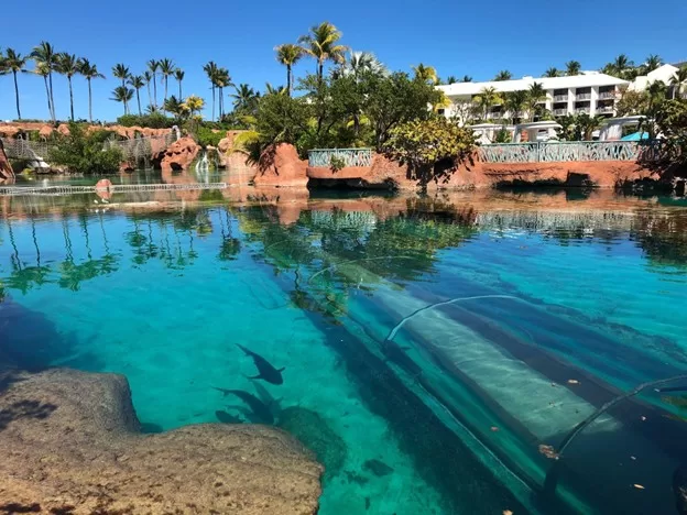 Atlantis Bahamas Water Slide