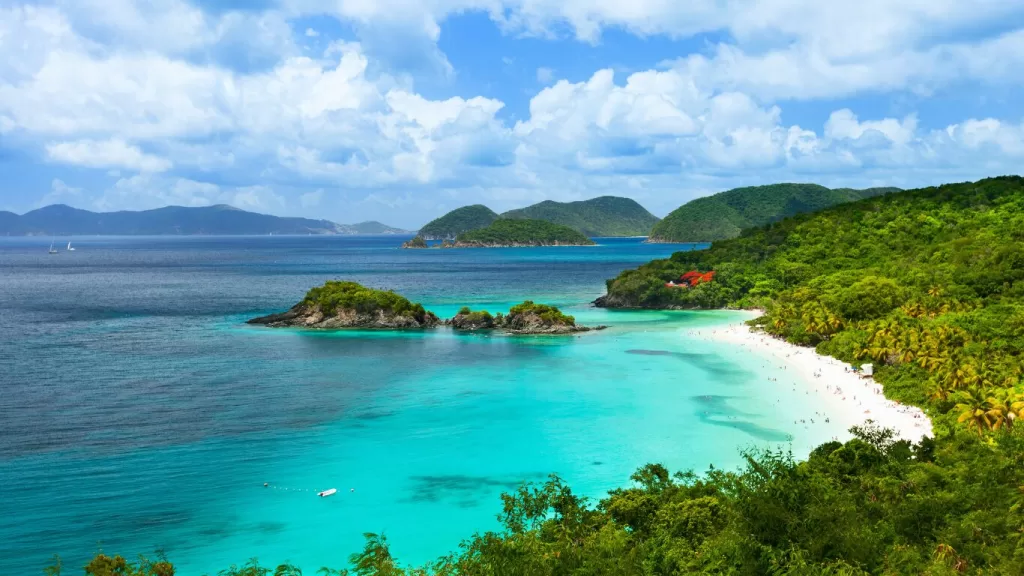 Trunk Bay St John Island