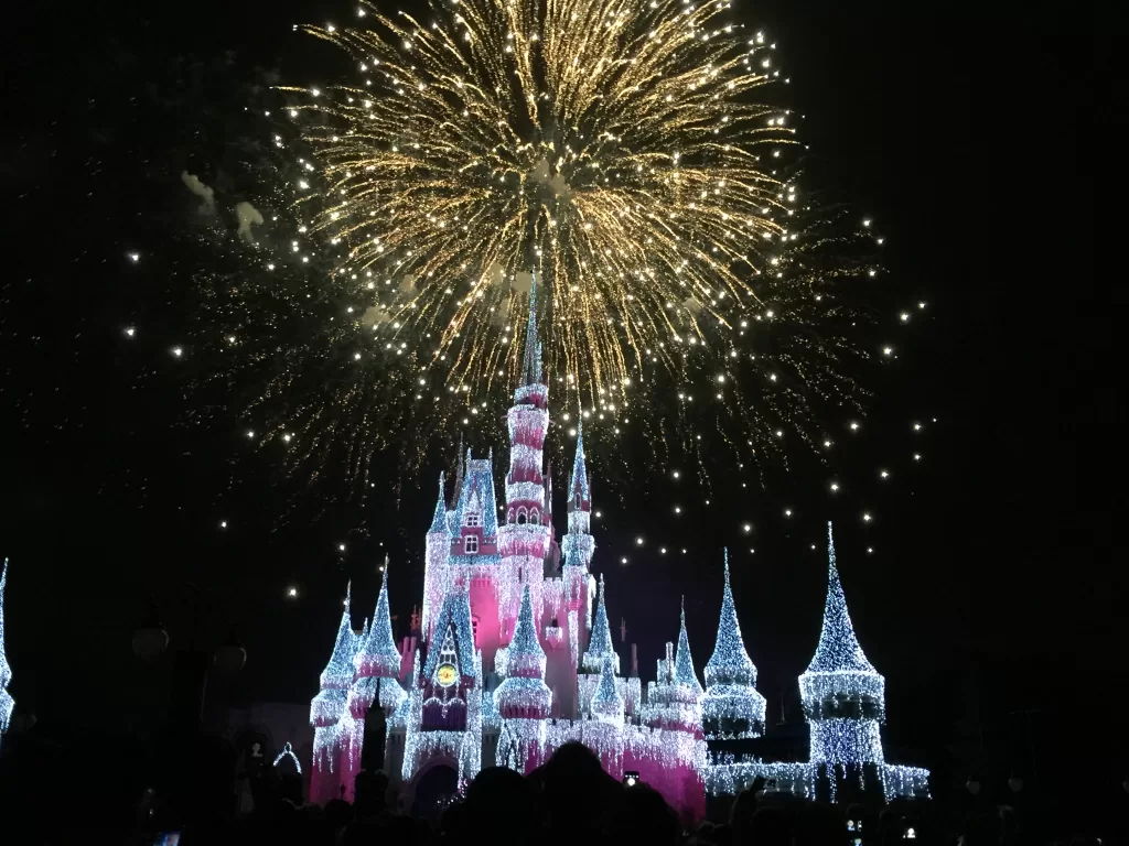 Disney World Fireworks