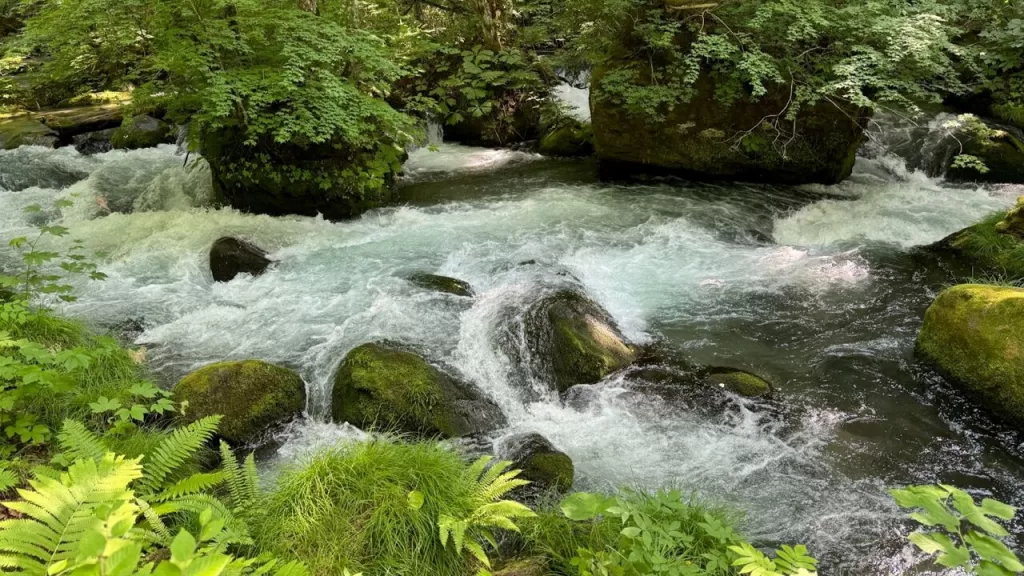 Oirase Keiryu Gorge Rapids
