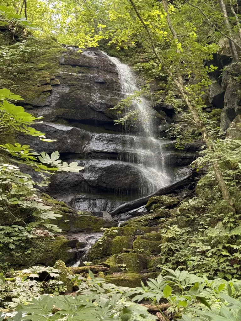 Waterfall near Oirase-keiryū gorge Japan