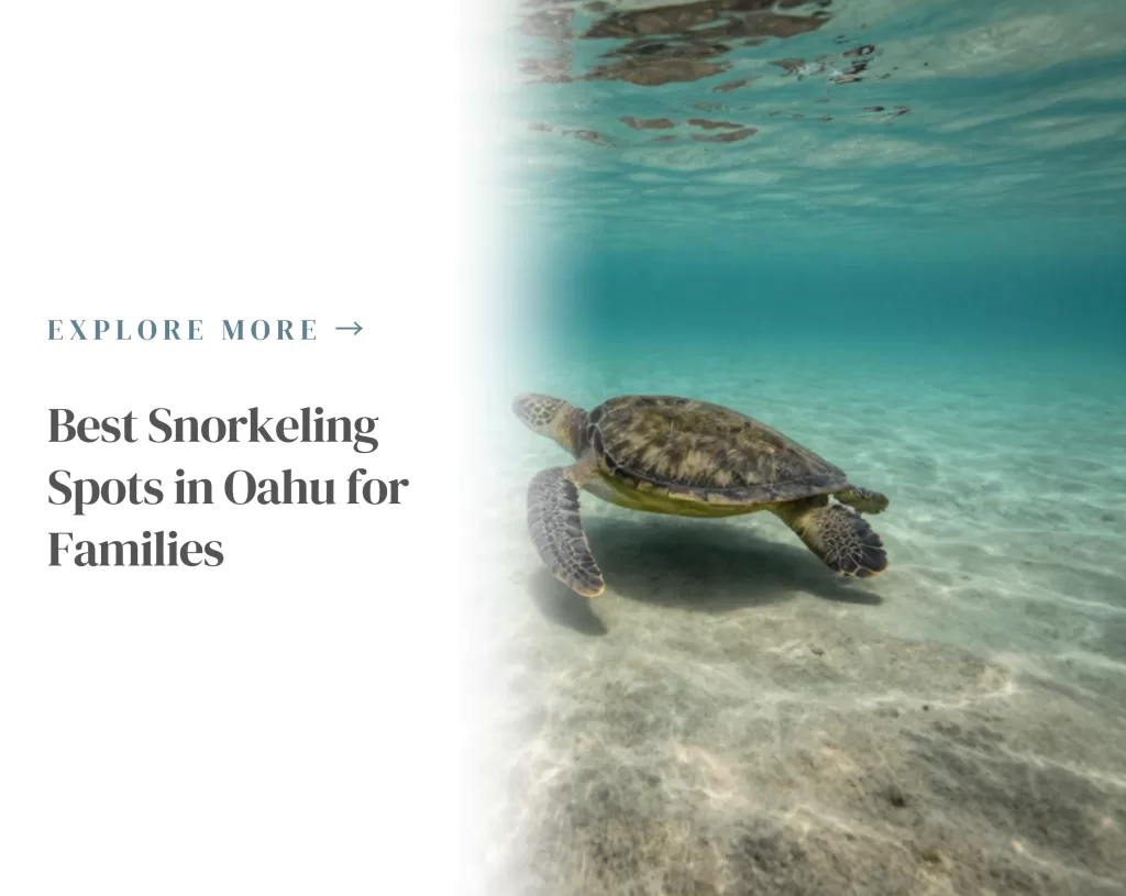 Best Oahu Snorkeling