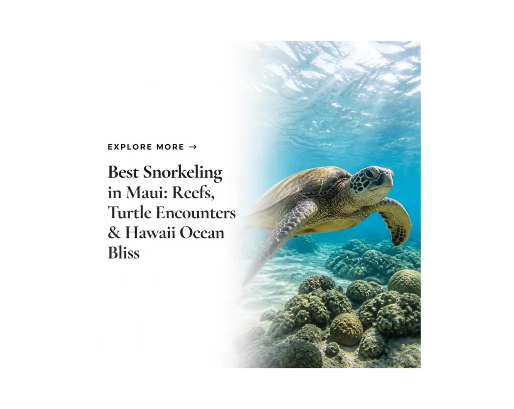 Maui snorkeling card