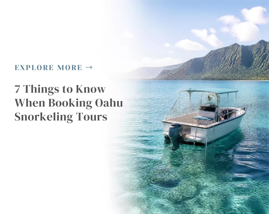 Oahu snorkeling 7 things to know